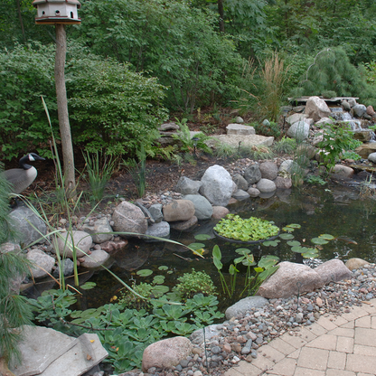 Granite Boulders